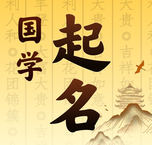 隆林国学起名 人工起名一对一